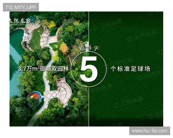 泉州足球场包场价格最新查询与预订指南全面解析